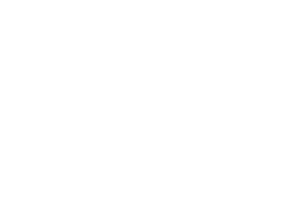 Asset Acceptance Logo